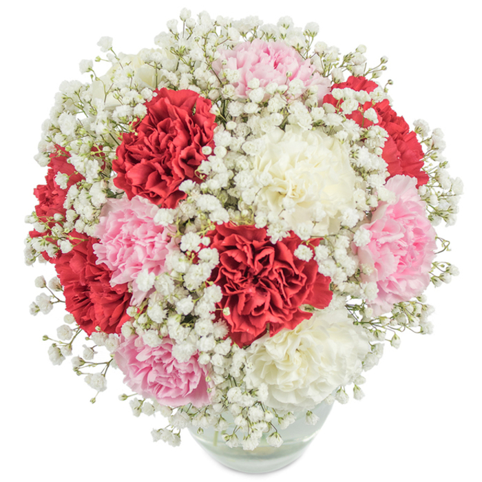 A dazzling arrangement from Rush Green's trusted floral experts, this bouquet gathers together the time-honoured beauty of carnations and the delicate airiness of white gypsophila. Rich scarlet, blush pink, and creamy white carnations unfurl their ruffled petals with opulent texture, complemented by a gentle scattering of pure white baby's breath. Together, the flowers form a nearly spherical, densely packed composition that exudes abundance and sophistication. The bouquet's rounded silhouette is accentuated by a crystal-clear glass vase, where a glimpse of submerged green stems and water adds a fresh, natural touch. Illuminated in bright, even lighting, every detail-from the creamy shimmer of the carnations to the cloud-like wisps of gypsophila-is visible against a flawlessly white background. This arrangement's vibrant colours and classic form embody sentiments of loving celebration, making it a perfect choice for expressing gratitude, joy, or admiration for occasions such as Mother's Day or a milestone birthday, cherished along the local streets and family gatherings of Rush Green.